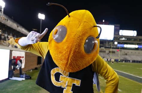 Georgia tech yellow jackets mascot image